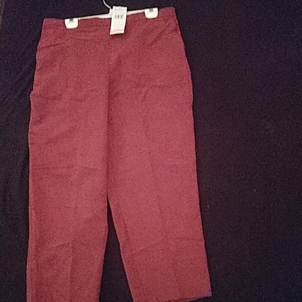 Alfred dunner size 18 petite pants